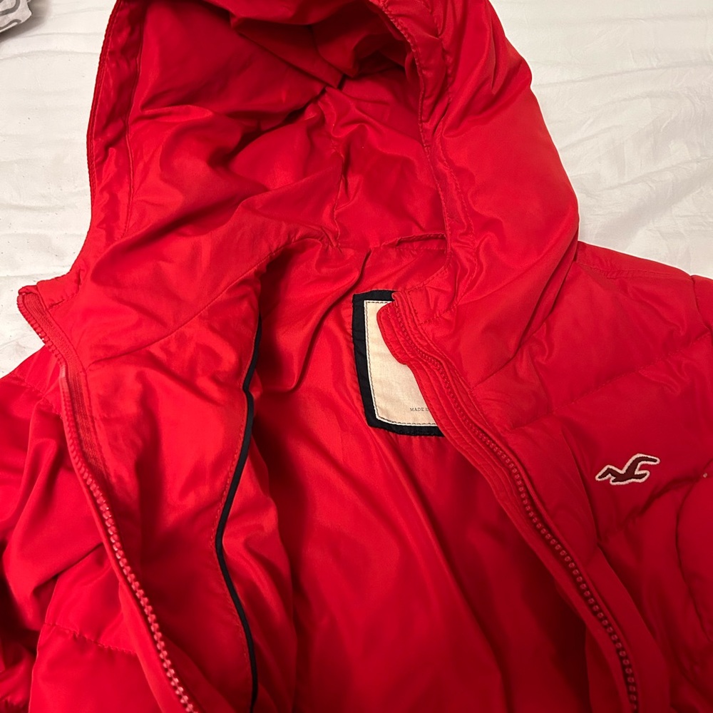 Hollister Winter Jacket